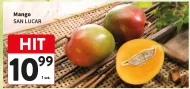 Mango San Lucar