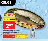 Pstrąg tęczowy Marinero