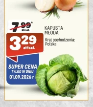 Kapusta młoda