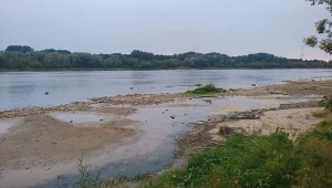 Niski poziom wody w Wiśle z każdym rokiem jest coraz poważniejszym problemem