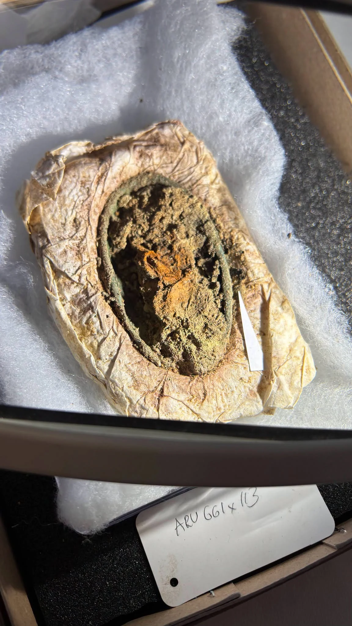 Owinięty w pergamin lub papier przedmiot z widoczną zawartością organiczną w centralnej części, umieszczony na białym podkładzie, obok cienkiego narzędzia oraz etykiety z napisem.