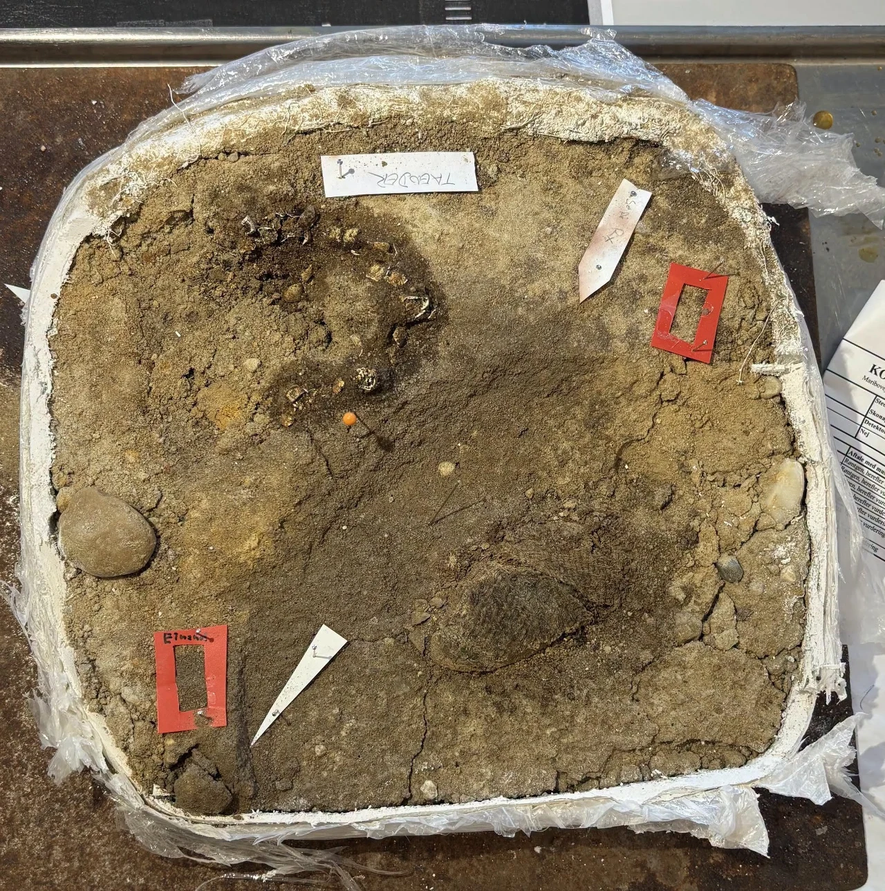 Kwadratowy blok ziemi z widocznymi warstwami gleby i kamieniami, oznaczony dwoma czerwonymi znacznikami oraz jednym białym wskaźnikiem archeologicznym.