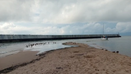 Jedyny nad Bałtykiem falochron w Mielnie Unieściu. Czym się wyróżnia? 