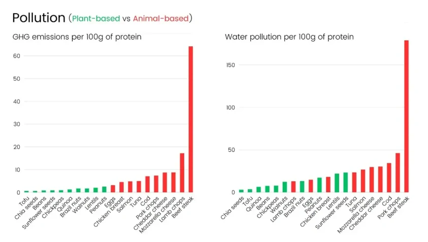 Wykresy słupkowe porównujące emisję gazów cieplarnianych oraz zanieczyszczenie wody na 100 g białka, wyraźnie pokazujące, że produkty pochodzenia zwierzęcego generują znacząco wyższy poziom zanieczyszczeń w obu kategoriach w porównaniu do produktów roś...