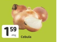 Cebula