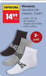 Skarpety Everlast