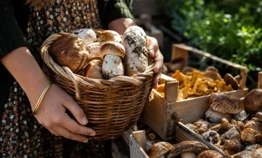 Kosz pełen świeżych borowików na straganie targowym w porannym słońcu 