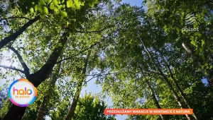 Nie kończ jeszcze wakacji. Wystarczy wybrać się w jedno miejsce