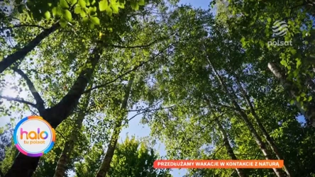 Nie kończ jeszcze wakacji. Wystarczy wybrać się w jedno miejsce