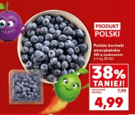 Borówki amerykańskie Polski