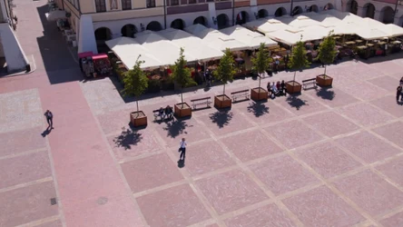 Na rynku w Zamościu postawiono przenośne lipy. Miejsce jest zabytkiem, więc nie można tam sadzić drzew