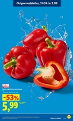Lider świeżości i super oszczędności - Lidl