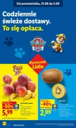 Lider świeżości i super oszczędności - Lidl