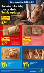 Lider świeżości i super oszczędności - Lidl