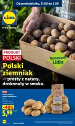 Lider świeżości i super oszczędności - Lidl