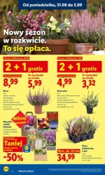 Lider świeżości i super oszczędności - Lidl
