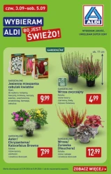 Nowy miesiąc, nowe okazje - Aldi