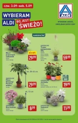 Nowy miesiąc, nowe okazje - Aldi
