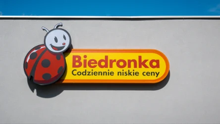 Biedronka znów zaskakuje markami. Everlast już na półkach, a za chwilę Kappa