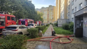 Służby pracujące na miejscu zdarzenia