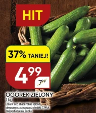 Ogórek Chata polska