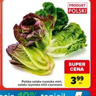 Sałata rzymska Polski