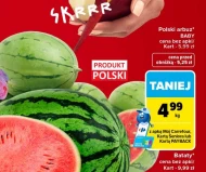Arbuz Polski