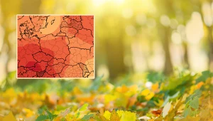 Jesień ma być wyjątkowo ciepła. Zaskakująca prognoza pogody