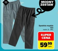 Spodnie męskie TEX