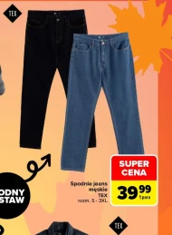 Spodnie męskie TEX