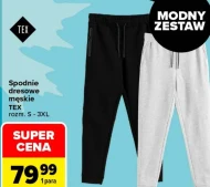 Spodnie dresowe TEX