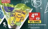 Масляний салат Polski