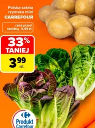 Sałata rzymska Carrefour