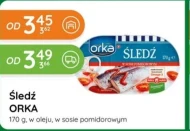 Śledź Orka