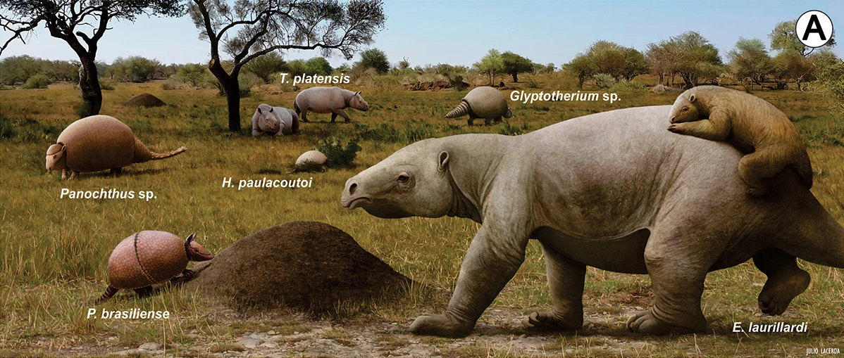 Prehistoryczne ssaki Ameryki Południowej: duży roślinożerny E. laurillardi niesie na grzbiecie mniejszego ssaka, a wokół niego znajdują się pancerniki różnej wielkości, takie jak Panochthus sp., Glyptotherium sp. i P. brasiliensis, przemieszczające się...