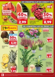 Wrześniowe hity cenowe - Kaufland