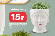 Doniczka