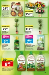 Czas na Auchan - Auchan Hipermarket