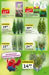 Czas na Auchan - Auchan Hipermarket