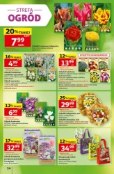 Czas na Auchan - Auchan Hipermarket