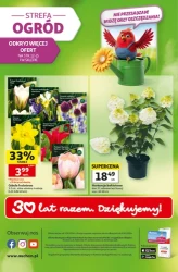 Czas na Auchan - Auchan Hipermarket