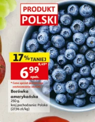 Borówka amerykańska Polski