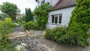 Sąsiad nie chce zapłacić za zalaną działkę? Te dowody mogą mieć znaczenie