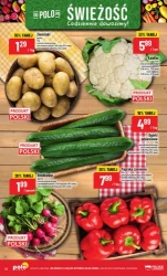 Jesień zagląda do koszyka - POLOmarket