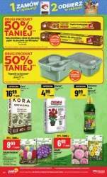Jesień zagląda do koszyka - POLOmarket