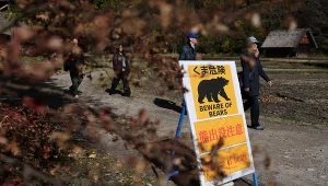 Ostrzeżenie przed niedźwiedziami na szlaku w Japonii 