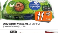 Jaja Zagroda Ptaszkowo