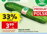 Ogórek Pewni Dobrego