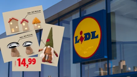 Lidl od czwartku wprowadza jesienne dekoracje. Takie wzory będą królować w tym sezonie