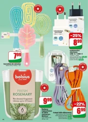 Jesienne smaki wchodzą do gry - Dino